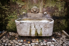 Trastevere Fountain