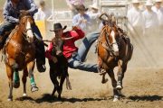 Steer Wrestling